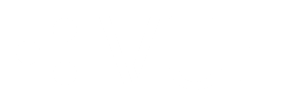 VUE logo white- Your Fleet Risk Management Partner
